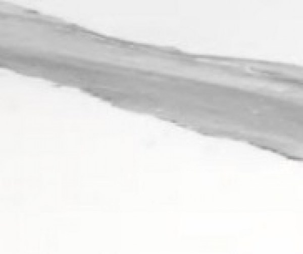 No hay imagen establecida 